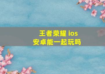 王者荣耀 ios 安卓能一起玩吗